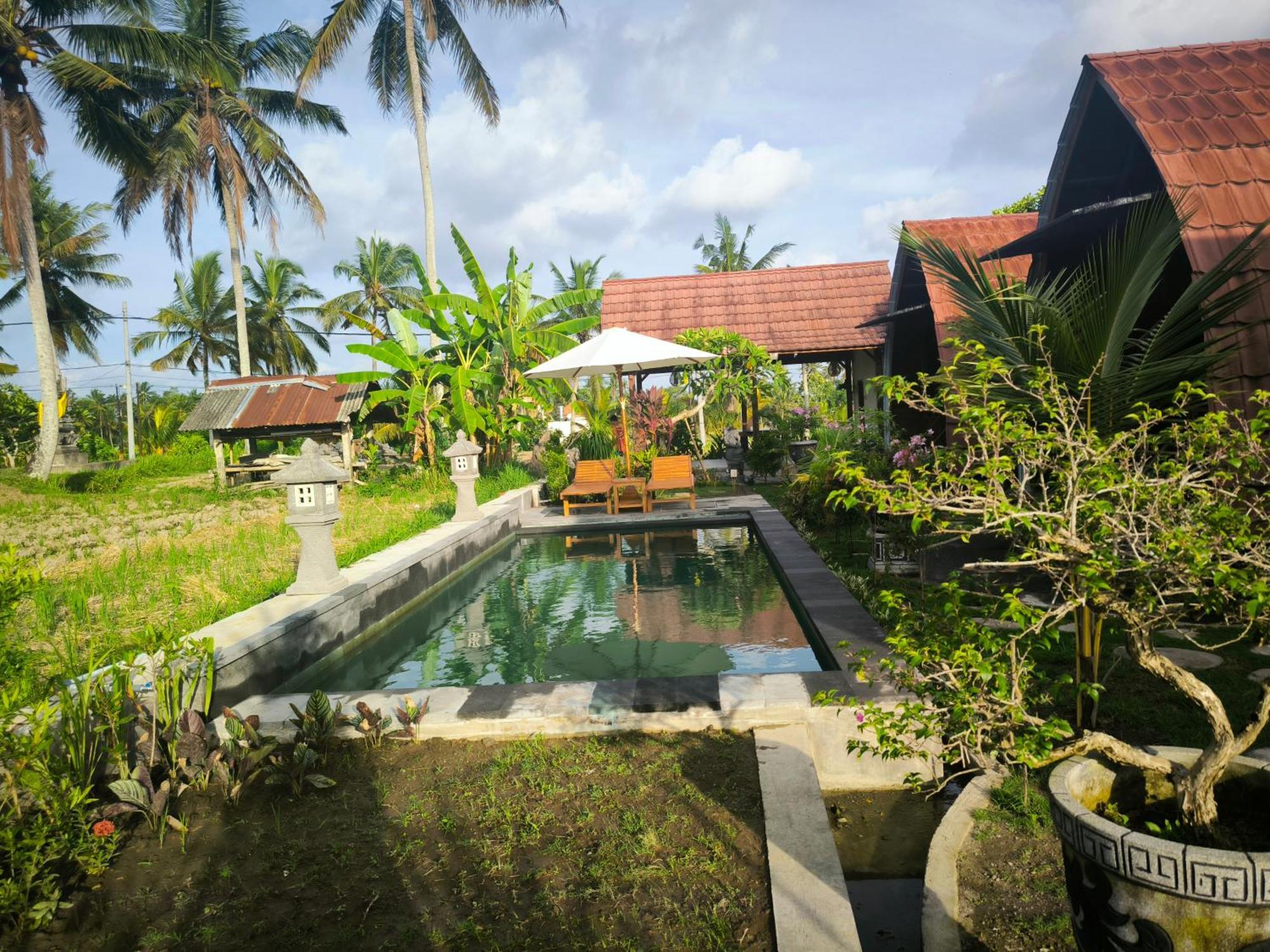 Eling Ubud Guesthouse Extérieur photo